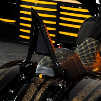 Black Detachable Havoc Sissy Bar Backrest for Harley® Touring ’09-’25