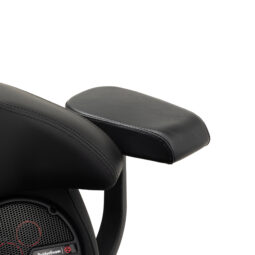 Grand Tour-Pak Passenger Armrests