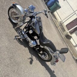 1994 Harley-Davidson Heritage Softail