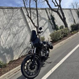 2001 Harley-Davidson Dyna FXDXT T-Sport – Performance Built