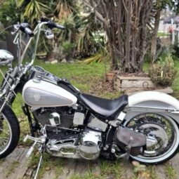 1996 Harley-Davidson Springer