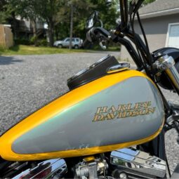 1988 FXR