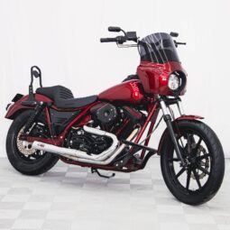 1989 FXR