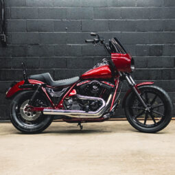 1989 FXR