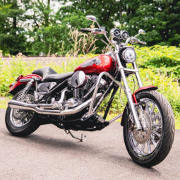 1991 FXR V111 FRESH BUILD