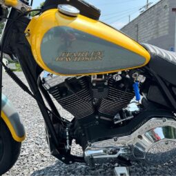 1988 FXR