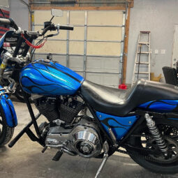 1987 Custom Built FXR